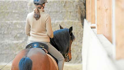 CAVALLO Ausbildungsskala Anlehnung Ausbildungsskala Anlehnung