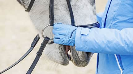 CAVALLO Ausbildungsskala Anlehnung Ausbildungsskala Anlehnung
