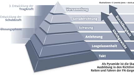 CAVALLO Ausbildungsskala - Anlehnung Ausbildungsskala - Anlehnung