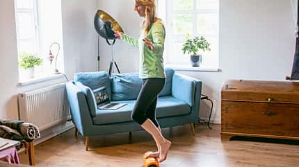 CAVALLO Feldenkrais Online Kurs Feldenkrais Online Kurs