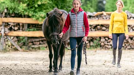 CAVALLO Feldenkrais Online Kurs Feldenkrais Online Kurs