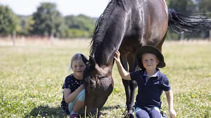 CAVALLO Unsere kleine Arche Hof Rocholl Unsere kleine Arche Hof Rocholl