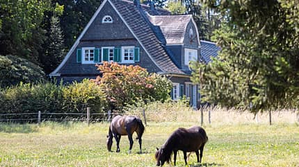 CAVALLO Unsere kleine Arche Hof Rocholl Unsere kleine Arche Hof Rocholl