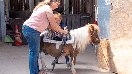 CAVALLO Unsere kleine Arche Hof Rocholl Unsere kleine Arche Hof Rocholl