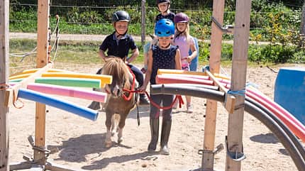 CAVALLO Unsere kleine Arche Hof Rocholl Unsere kleine Arche Hof Rocholl