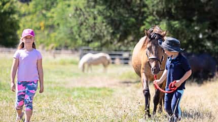 CAVALLO Unsere kleine Arche Hof Rocholl Unsere kleine Arche Hof Rocholl
