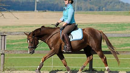 CAVALLO Ausbildungsskala Schwung Ausbildungsskala Schwung
