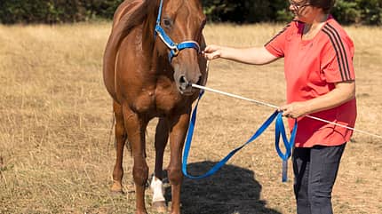 CAVALLO TSP Trainings-Check TSP Trainings-Check