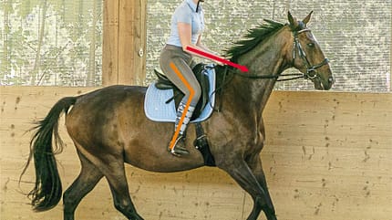 CAVALLO TSP Trainings-Check TSP Trainings-Check