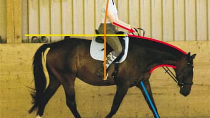 CAVALLO TSP Trainings-Check TSP Trainings-Check