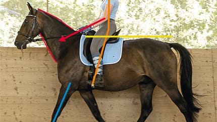 CAVALLO TSP Trainings-Check TSP Trainings-Check
