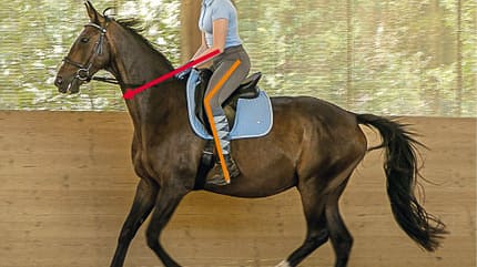 CAVALLO TSP Trainings-Check TSP Trainings-Check