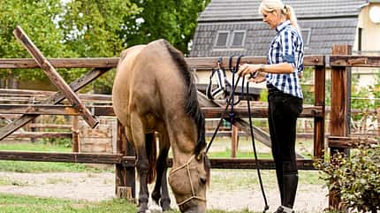 CAVALLO Hautnah bei Katja Schnabel CAVALLO Hautnah bei Katja Schnabel
