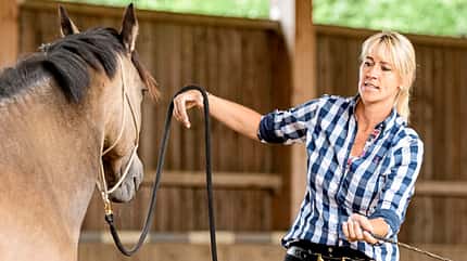 CAVALLO Hautnah bei Katja Schnabel CAVALLO Hautnah bei Katja Schnabel
