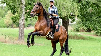 CAVALLO Hautnah bei Katja Schnabel CAVALLO Hautnah bei Katja Schnabel