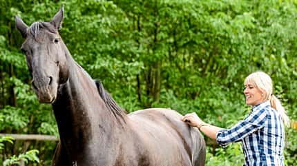 CAVALLO Hautnah bei Katja Schnabel CAVALLO Hautnah bei Katja Schnabel
