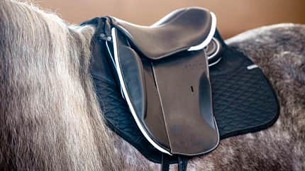 CAVALLO Der REV-Sattel von Stübben CAVALLO Der REV-Sattel von Stübben