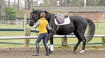 CAVALLO Hautnah bei Nicole Künzel Hautnah bei Nicole Künzel