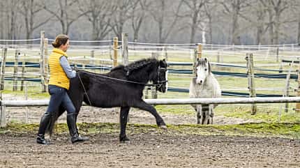 CAVALLO Hautnah bei Nicole Künzel Hautnah bei Nicole Künzel