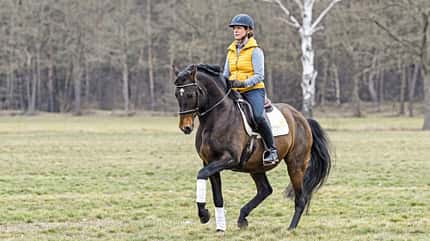 CAVALLO Hautnah bei Nicole Künzel Hautnah bei Nicole Künzel
