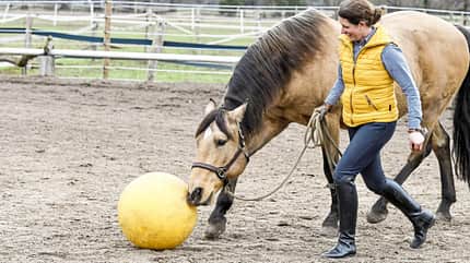 CAVALLO Hautnah bei Nicole Künzel Hautnah bei Nicole Künzel