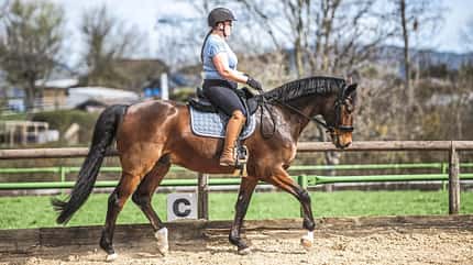 CAVALLO TSP Muskeltonus Reiter TSP Muskeltonus Reiter