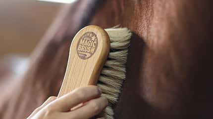 Magic Brush,Bürste,Pferd,Pferdepflege,Borsten,Putzzeug