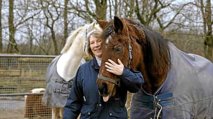 Petra Teegen, Pferdeklappe Petra Teegen im Jahr 2014 mit zwei Pferden