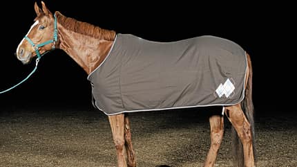 CAV 0311 Abschwitzdecken Abschwitzdecken-Test_Decke_Fleece-Rug-Diamond (jpg) CAV 0311 Abschwitzdecken Abschwitzdecken-Test_Decke_Fleece-Rug-Diamond (jpg)