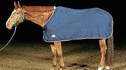 CAV 0311 Abschwitzdecken Abschwitzdecken-Test_Decke_Microlfleece-Standard (jpg) CAV 0311 Abschwitzdecken Abschwitzdecken-Test_Decke_Microlfleece-Standard (jpg)
