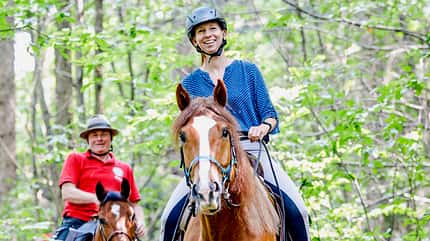 CAVALLO Wanderreiten durch den Schwarzwald Wanderreiten durch den Schwarzwald
