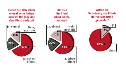 Leserwahl 2023 Diagramm zu Leserwahl-Ergebnissen
