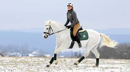CAVALLO Test Winterreitstiefel Test Winterreitstiefel