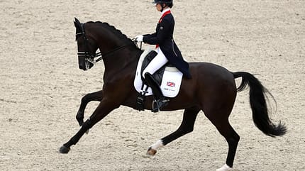 CAVALLO Moderne Pferdezucht CAVALLO Moderne Pferdezucht