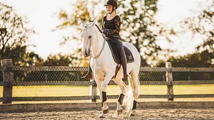CAVALLO Halsringreiten CAVALLO Halsringreiten
