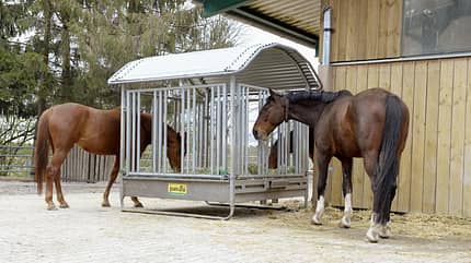 CAVALLO Faser-Fiebel, Heu CAVALLO Faser-Fiebel