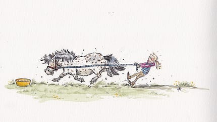 CAVALLO DIe Künstlerin Saskia von Sperber - Ein Leben in Farbe CAVALLO DIe Künstlerin Saskia von Sperber - Ein Leben in Farbe