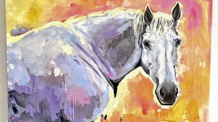 CAVALLO DIe Künstlerin Saskia von Sperber - Ein Leben in Farbe CAVALLO DIe Künstlerin Saskia von Sperber - Ein Leben in Farbe
