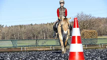 CAVALLO Training auf gerader Linie CAVALLO Training auf gerader Linie
