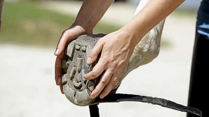 CAVALLO Hufschuhe - Da drückt der Schuh CAVALLO Hufschuhe - Da drückt der Schuh