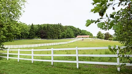 CAVALLO Weidezaun CAVALLO Weidezaun