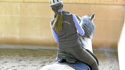 CAVALLO Kreatives Ecken-Training CAVALLO Kreatives Ecken-Training