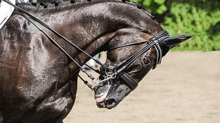 CAVALLO Dossier: Deutsche Reiterliche Vereinigung steht in der Kritik CAVALLO Dossier: Deutsche Reiterliche Vereinigung steht in der Kritik