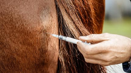 CAVALLO Dossier: Deutsche Reiterliche Vereinigung steht in der Kritik CAVALLO Dossier: Deutsche Reiterliche Vereinigung steht in der Kritik