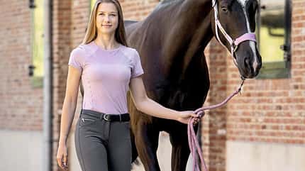 CAVALLO Modeneuheiten CAVALLO Modeneuheiten