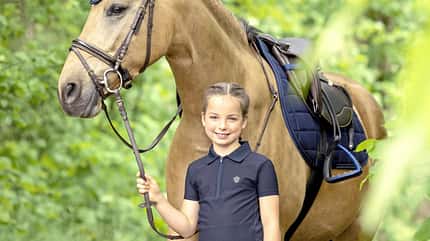 CAVALLO Modeneuheiten CAVALLO Modeneuheiten