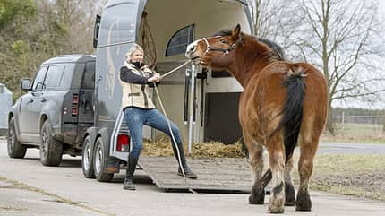 CAVALLO Katja Schnabel - Enge wie beim Verladen CAVALLO Katja Schnabel - Enge wie beim Verladen