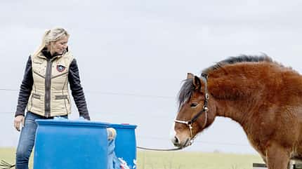CAVALLO Katja Schnabel - Enge wie beim Verladen CAVALLO Katja Schnabel - Enge wie beim Verladen