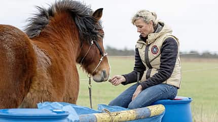 CAVALLO Katja Schnabel - Enge wie beim Verladen CAVALLO Katja Schnabel - Enge wie beim Verladen