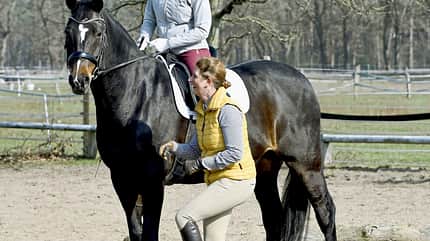 CAVALLO Jedes Pferd kann das Piaffieren lernen CAVALLO Jedes Pferd kann das Piaffieren lernen
